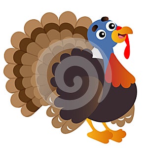 Color image of cartoon turkey on white background. Farm animals. Vector illustration for kids