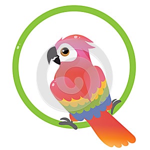 Color image of colorful parrot on white background. Pets. Vector illustration for kids