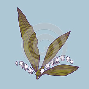 Color image of lilies of the valley for a tattoo or print on clothes.