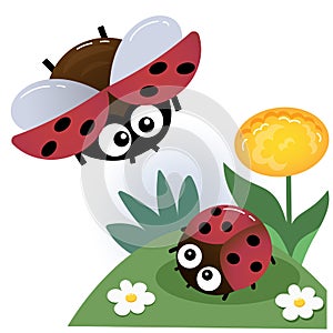 Color image of little ladybugs on white background. Insects and bugs. Vector illustration for kids