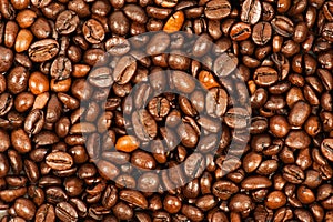 Color image of roasted coffee beans