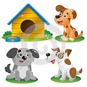 Color images of cartoon dogs on white background. Pets. Vector illustration set for kids