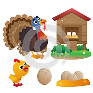 Color images of cartoon turkey with nestling on white background. Farm animals. Vector illustration set for kids