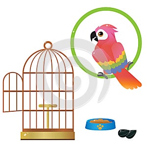 Color images of colorful parrot and bird cage on white background. Pets. Vector illustration set for kids