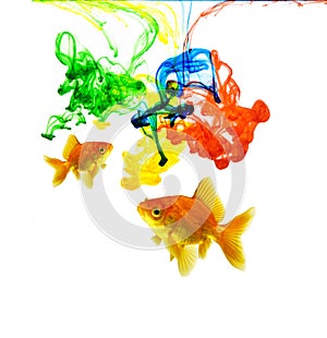 Color Ink Colorful Goldfish