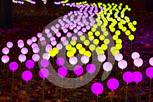 color LED illumination in the park. street light color festival decoration