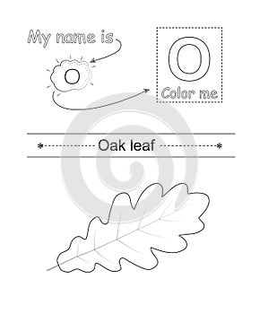 Color the letter and picture. Coloring alphabet. Letter O and oak leaf