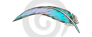 Color Lost Bird Outer Element Feather Vintage Vector