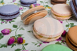 Color macaroons on a flower background