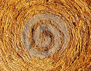 Color macro photography of straw bale