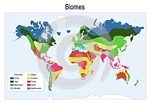 Color map of The main biomes in the world photo