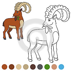 Color me: ibex. Cute ibex with great horns.