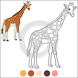 Color me: wild animals. Big kind giraffe with long neck stands and smiles