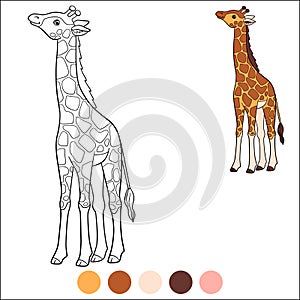 Color me: wild animals. Little cute baby giraffe stands and smiles