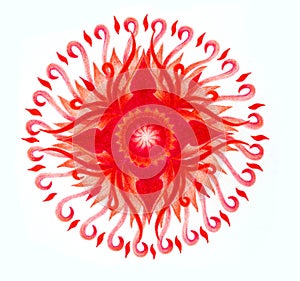 color ornamental mandala on white paper background. Root Chakra. photo