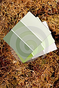 Color paint chips on a moss background