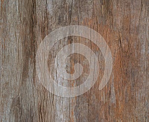 color painted old grunge wood wal, texture or vinrage wood background.