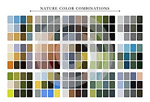 Chart of color palette guide combination. Color harmony.