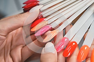 Color palette, artificial nails for manicure. Close-up.