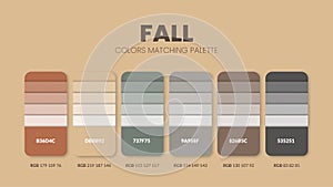 Color palette in a Fall colour themed collections. Color scheme or colors chart template. Color combination set of RGB, HSL and