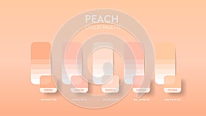 Color palette guide in Peach colour theme collections. Color inspiration or chart with codes template. Color combination set RGB.