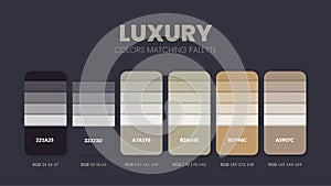 Color palette in Luxury colour theme collections. Color inspiration or colour chart with codes template. Color combination set of