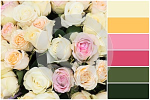 Color palette and many beautiful roses as background, top view. Collage