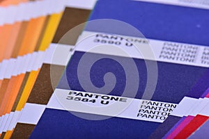 Color Palette Pantone Guide Close Up. Colorful Swatch Catalog