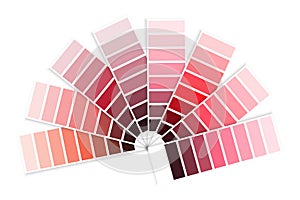 Color palette of red swatch. Graphic decor. Design art. Home interior concept. Vector illustration. Stock image.