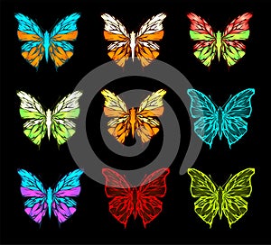 Color pallet of butterfly
