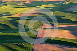 Color of the Palouse photo