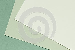Color paper background. Neutral natural green colour palette. Craft paper texture
