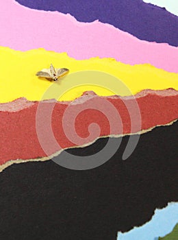 Color papers background with insect