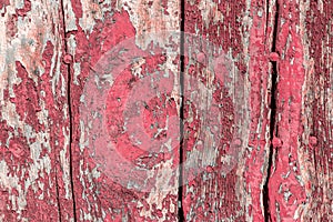 Color-Peel wood texture