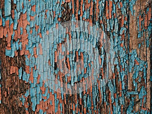 Color-Peel wood texture. Old wooden painted light blue rustic fence, paint peeling background