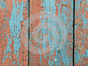 Color-Peel wood texture. Old wooden painted light blue rustic fence, paint peeling background