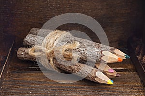 Color pencil made of branches photo