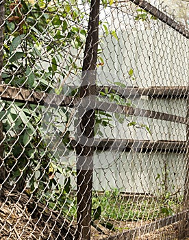 COLOR PHOTO OF CHAIN-LINK FENCE