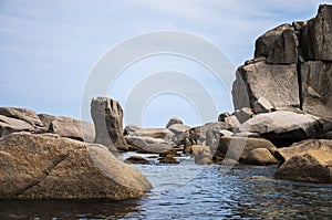 Color photo of sea stones of strange abstract dog shape