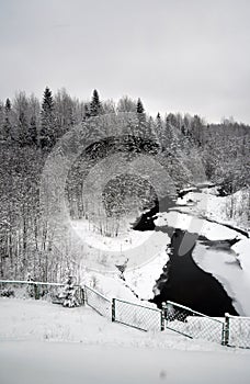 Color photo of a winter forest and iced river