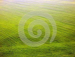 Color photography of fields from top view