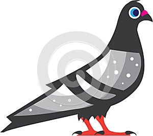 Color Pigeon Dove Vector