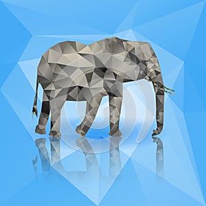 Color polygonal elephant isolated on blue background. Vector illustration