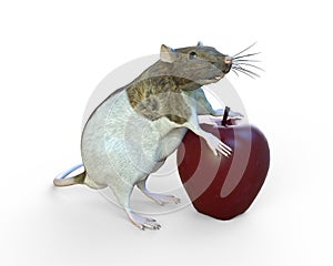 Hooded Rat Rattus norvegicus forma domestica, 3D Illustration photo