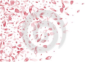 Color Rose Petal Vector White Background. Pastel