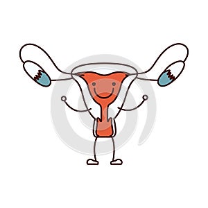 Color sections hand drawing contour caricature female reproductive system