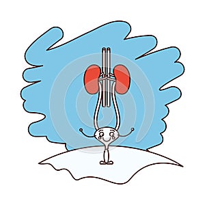 Color sections silhouette scene in grass with silhouette caricature renal system with urethra