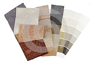 Color selection for interior