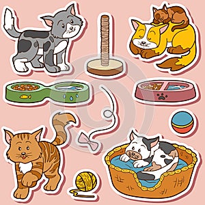 Color set of cute cats and objects