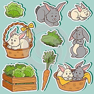 Color set of cute domestic animals and objects, vector rabbits